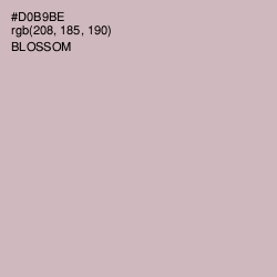 #D0B9BE - Blossom Color Image