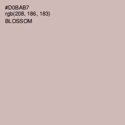 #D0BAB7 - Blossom Color Image