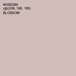 #D0BDB9 - Blossom Color Image