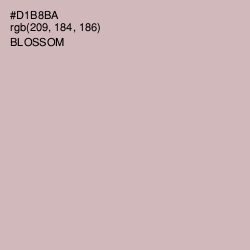 #D1B8BA - Blossom Color Image