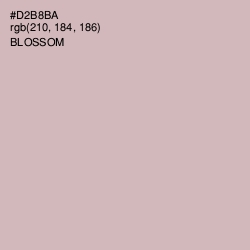 #D2B8BA - Blossom Color Image