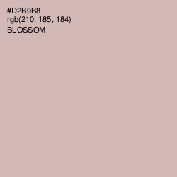#D2B9B8 - Blossom Color Image