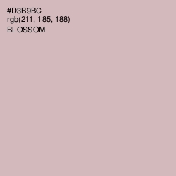 #D3B9BC - Blossom Color Image