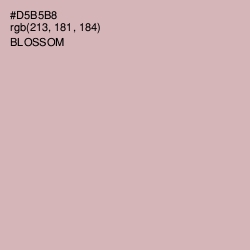 #D5B5B8 - Blossom Color Image