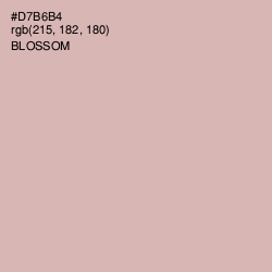 #D7B6B4 - Blossom Color Image