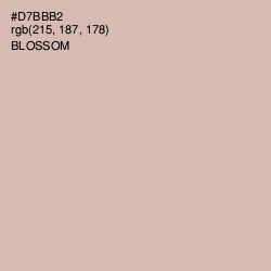 #D7BBB2 - Blossom Color Image