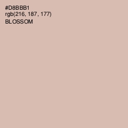 #D8BBB1 - Blossom Color Image