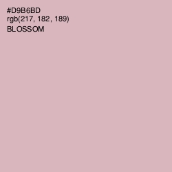 #D9B6BD - Blossom Color Image