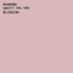#D9B8B9 - Blossom Color Image