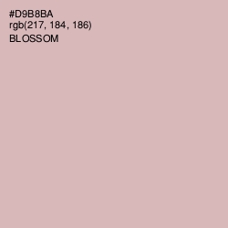 #D9B8BA - Blossom Color Image