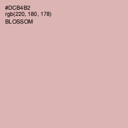 #DCB4B2 - Blossom Color Image