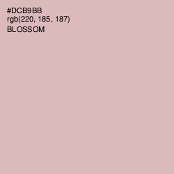 #DCB9BB - Blossom Color Image