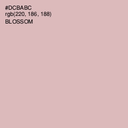 #DCBABC - Blossom Color Image