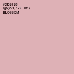 #DDB1B5 - Blossom Color Image
