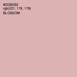 #DDB2B2 - Blossom Color Image