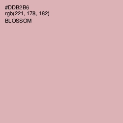 #DDB2B6 - Blossom Color Image