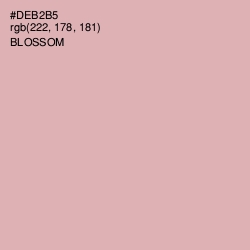 #DEB2B5 - Blossom Color Image
