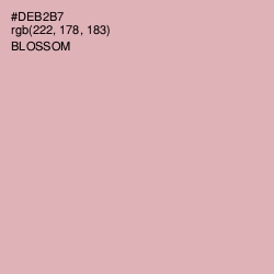 #DEB2B7 - Blossom Color Image