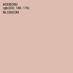 #DEBDB0 - Blossom Color Image