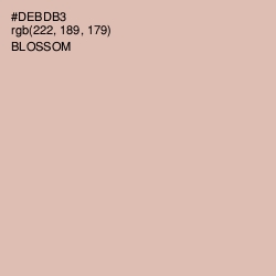 #DEBDB3 - Blossom Color Image
