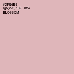 #DFB6B9 - Blossom Color Image