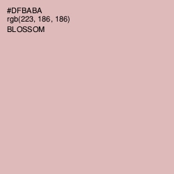 #DFBABA - Blossom Color Image