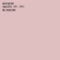 #DFBFBF - Blossom Color Image