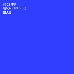 #303FFF - Blue Color Image