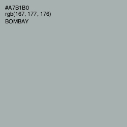 #A7B1B0 - Bombay Color Image