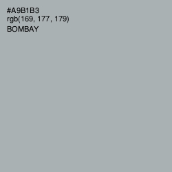 #A9B1B3 - Bombay Color Image