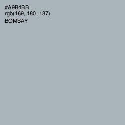 #A9B4BB - Bombay Color Image