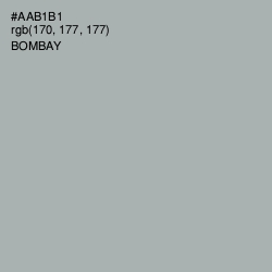#AAB1B1 - Bombay Color Image