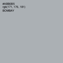 #ABB0B5 - Bombay Color Image