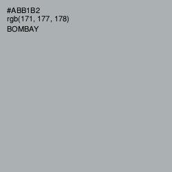#ABB1B2 - Bombay Color Image
