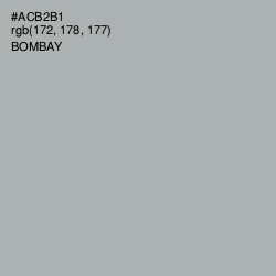 #ACB2B1 - Bombay Color Image