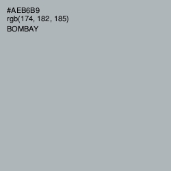 #AEB6B9 - Bombay Color Image