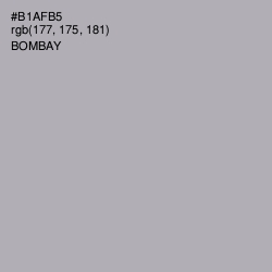 #B1AFB5 - Bombay Color Image