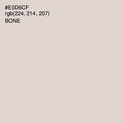 #E0D6CF - Bone Color Image