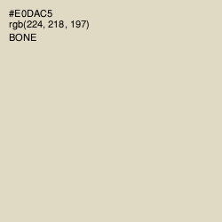 #E0DAC5 - Bone Color Image
