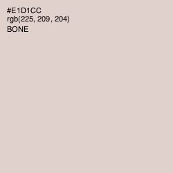 #E1D1CC - Bone Color Image