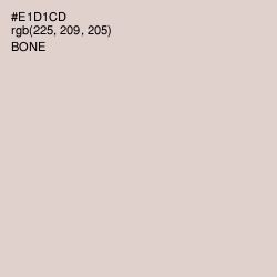 #E1D1CD - Bone Color Image