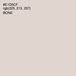 #E1D5CF - Bone Color Image
