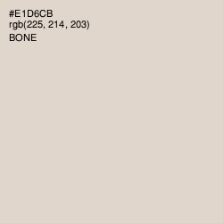 #E1D6CB - Bone Color Image