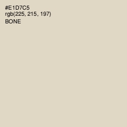 #E1D7C5 - Bone Color Image