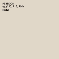 #E1D7C8 - Bone Color Image