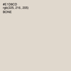 #E1D8CD - Bone Color Image