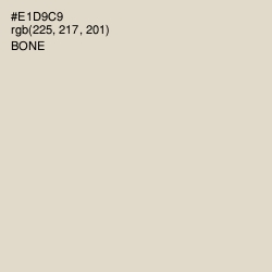 #E1D9C9 - Bone Color Image