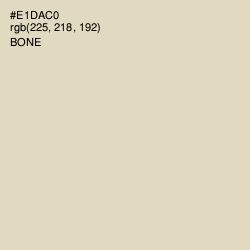 #E1DAC0 - Bone Color Image