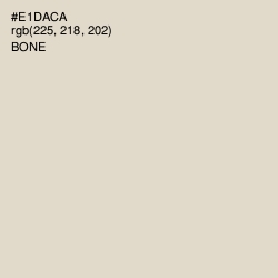 #E1DACA - Bone Color Image