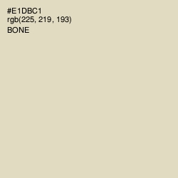 #E1DBC1 - Bone Color Image